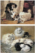Illustrated Cat Book 1 021 Vintage Illustration A4 Photo Print
