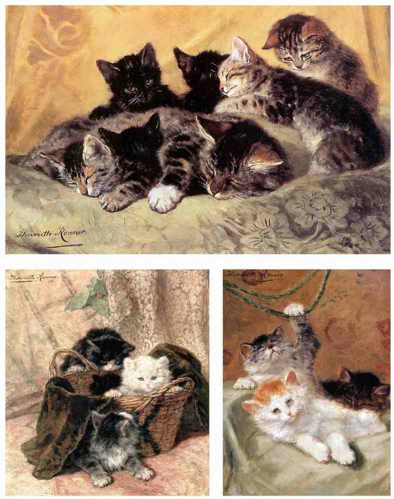 Illustrated Cat Book 1 023 Vintage Illustration A4 Photo Print