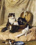 Illustrated Cat Book 1 024 Vintage Illustration A4 Photo Print