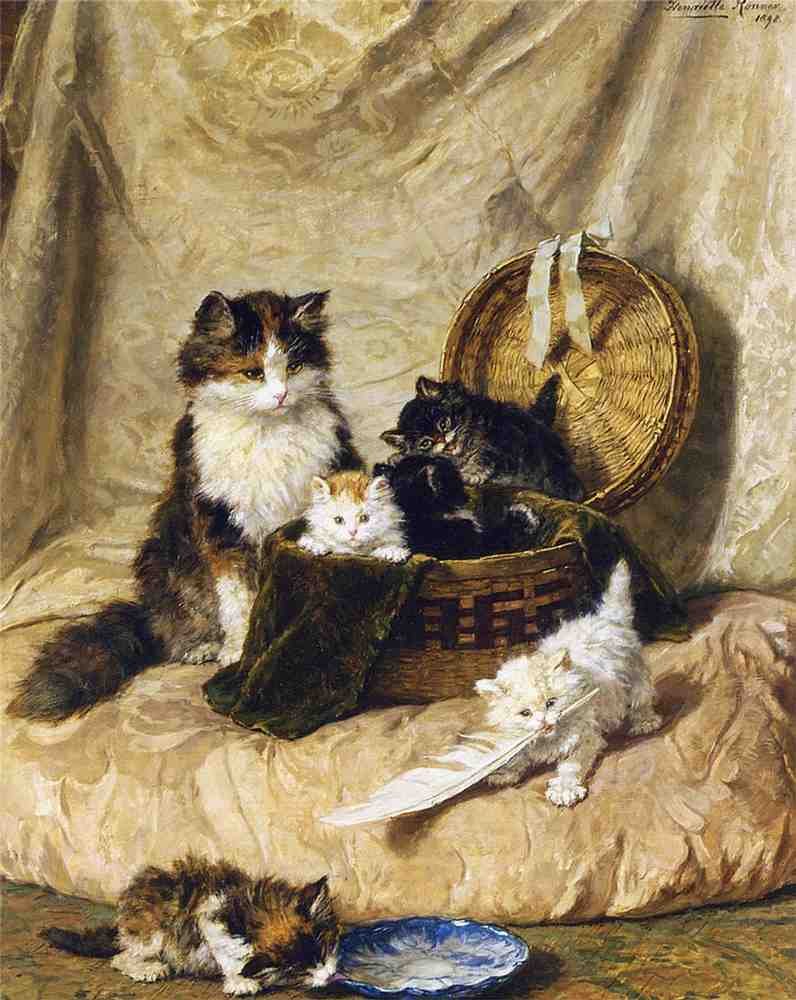 Illustrated Cat Book 1 024 Vintage Illustration A4 Photo Print