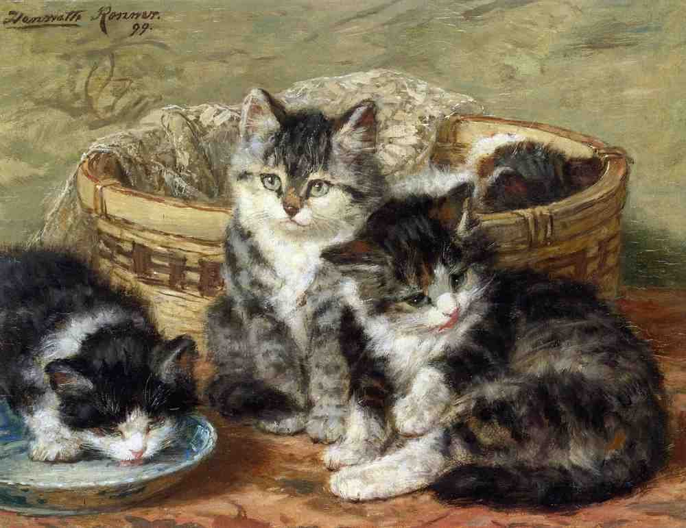 Illustrated Cat Book 1 025 Vintage Illustration A4 Photo Print