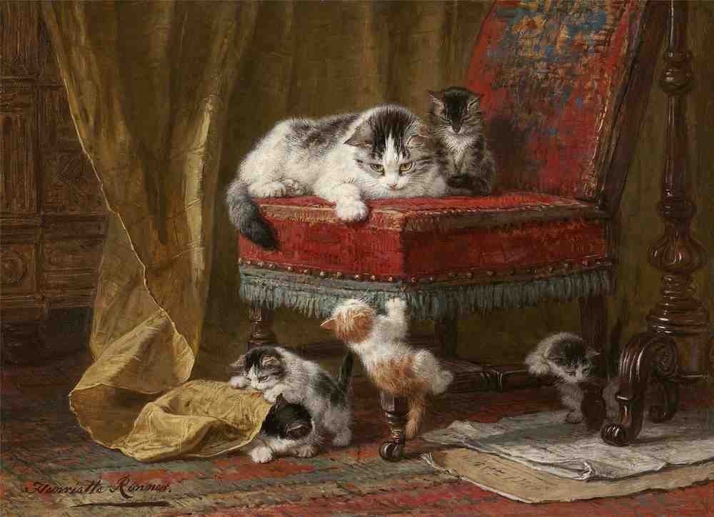 Illustrated Cat Book 1 026 Vintage Illustration A4 Photo Print