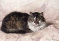 Illustrated Cat Book 1 027 Vintage Illustration A4 Photo Print