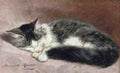 Illustrated Cat Book 1 028 Vintage Illustration A4 Photo Print