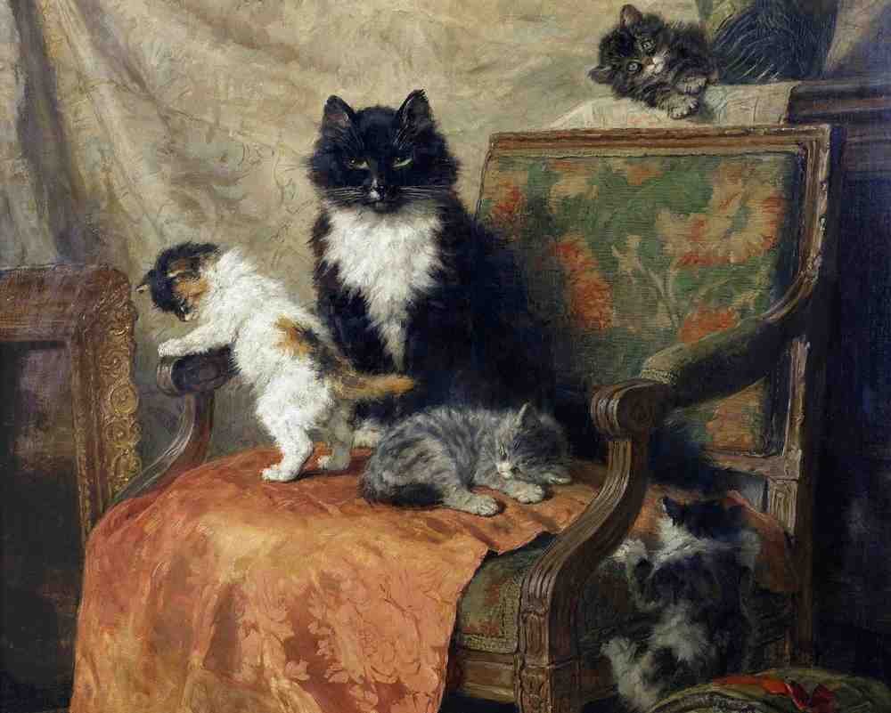 Illustrated Cat Book 1 029 Vintage Illustration A4 Photo Print