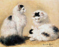 Illustrated Cat Book 1 030 Vintage Illustration A4 Photo Print