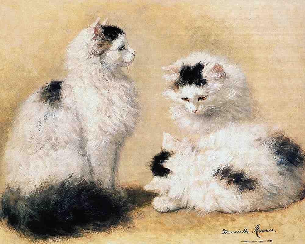 Illustrated Cat Book 1 030 Vintage Illustration A4 Photo Print