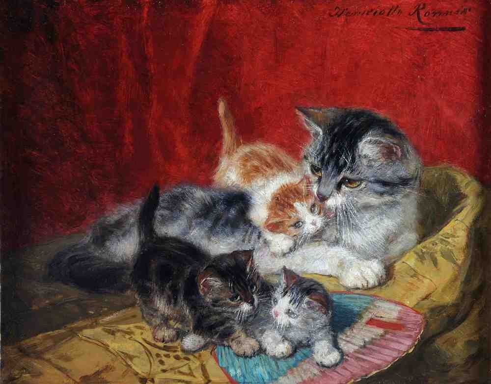 Illustrated Cat Book 1 031 Vintage Illustration A4 Photo Print