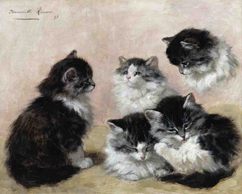 Illustrated Cat Book 1 032 Vintage Illustration A4 Photo Print