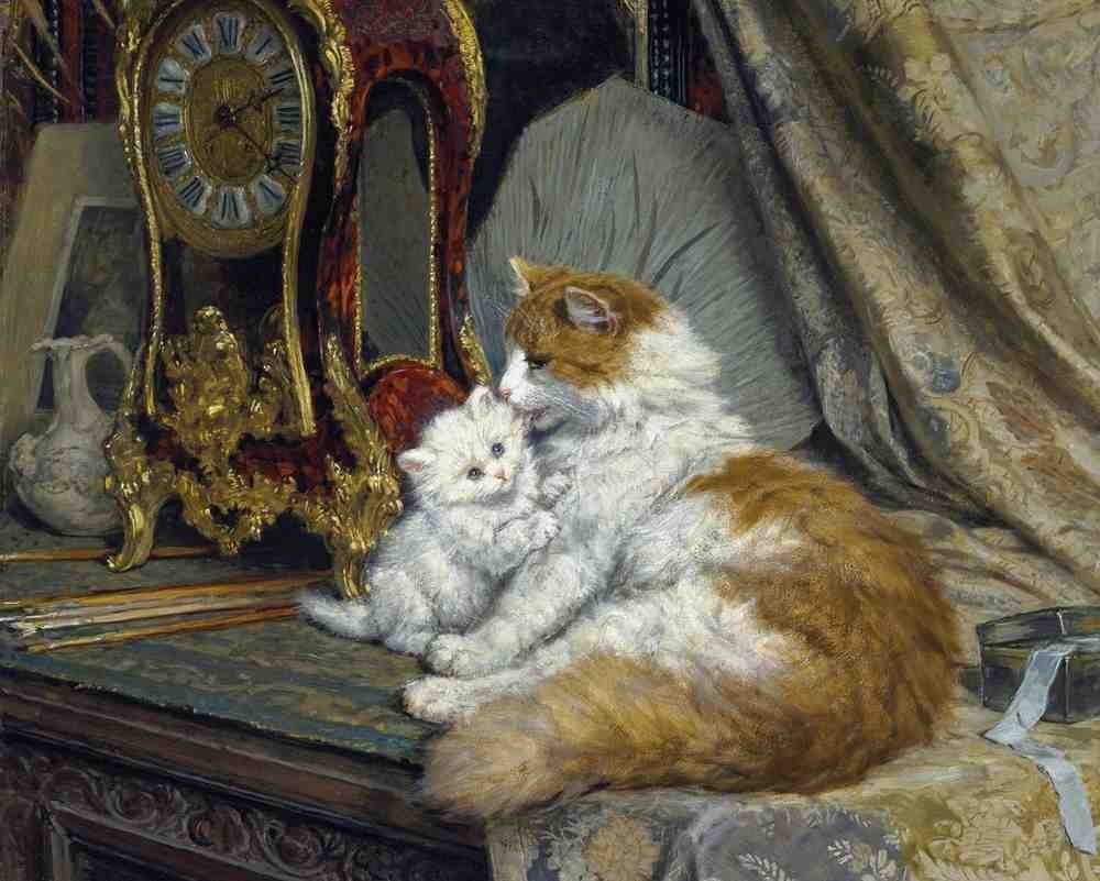 Illustrated Cat Book 1 038 Vintage Illustration A4 Photo Print