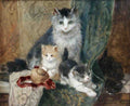 Illustrated Cat Book 1 041 Vintage Illustration A4 Photo Print