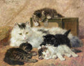 Illustrated Cat Book 1 042 Vintage Illustration A4 Photo Print