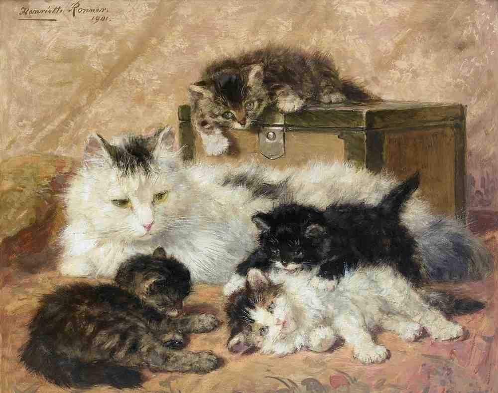 Illustrated Cat Book 1 042 Vintage Illustration A4 Photo Print