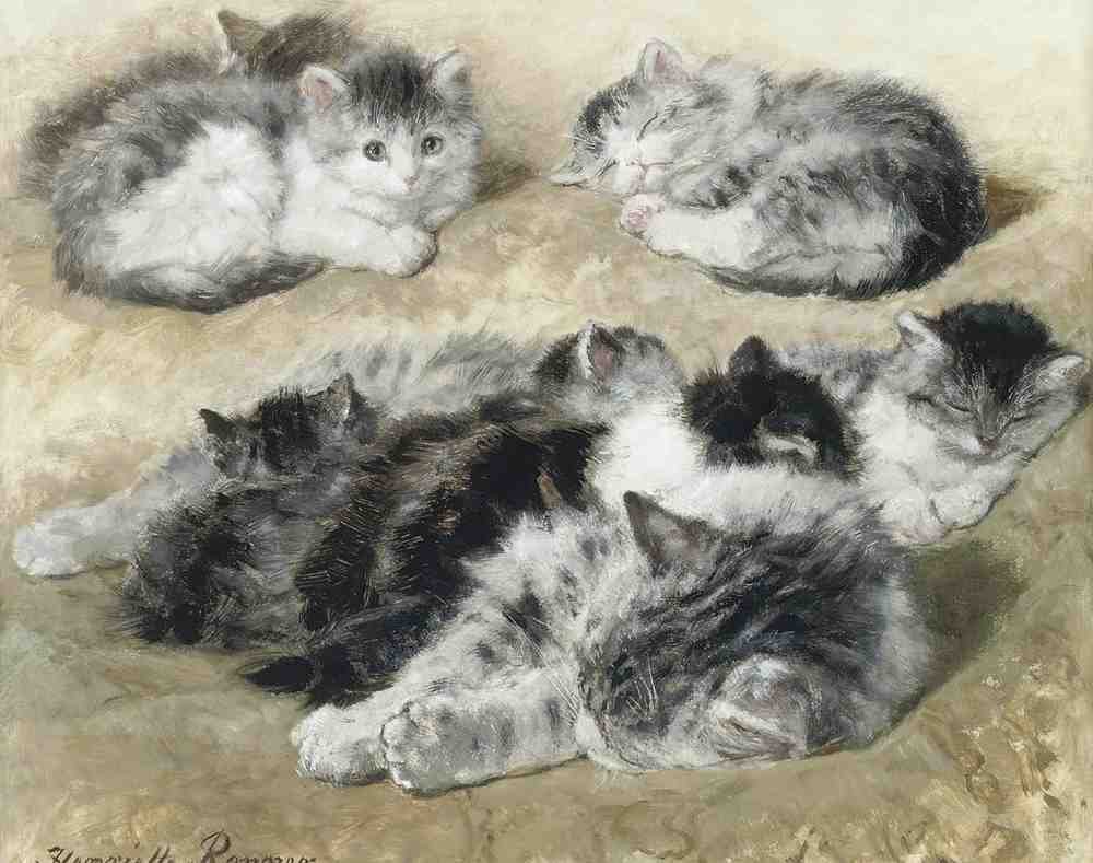 Illustrated Cat Book 1 043 Vintage Illustration A4 Photo Print