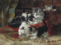 Illustrated Cat Book 1 046 Vintage Illustration A4 Photo Print