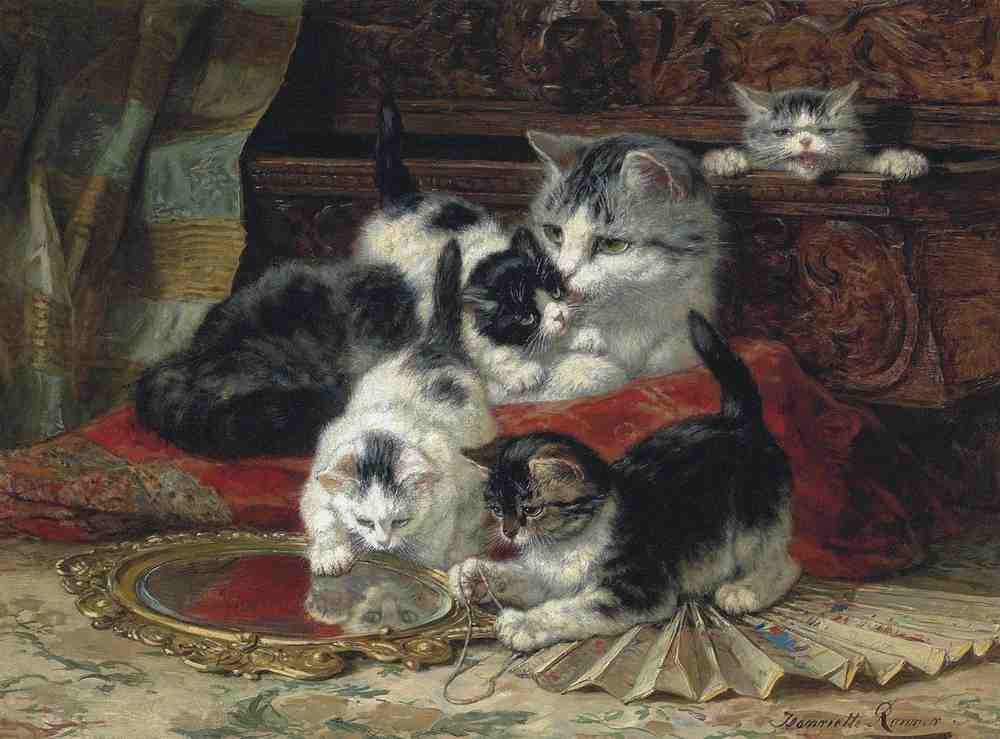 Illustrated Cat Book 1 046 Vintage Illustration A4 Photo Print