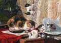 Illustrated Cat Book 1 048 Vintage Illustration A4 Photo Print