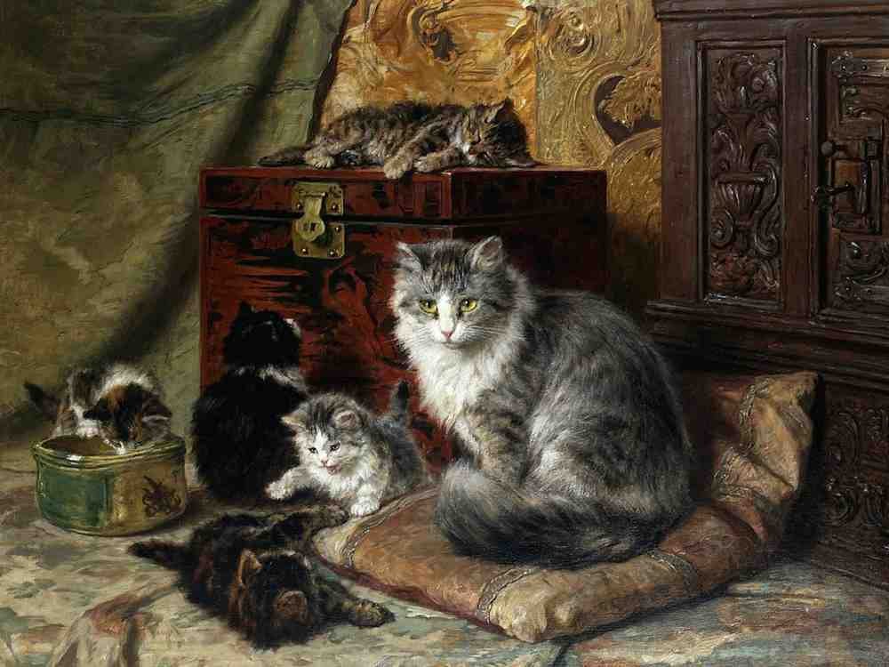 Illustrated Cat Book 1 049 Vintage Illustration A4 Photo Print
