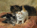 Illustrated Cat Book 1 050 Vintage Illustration A4 Photo Print