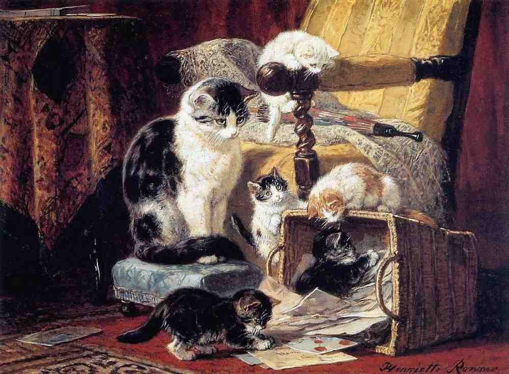 Illustrated Cat Book 1 052 Vintage Illustration A4 Photo Print