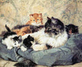 Illustrated Cat Book 1 057 Vintage Illustration A4 Photo Print
