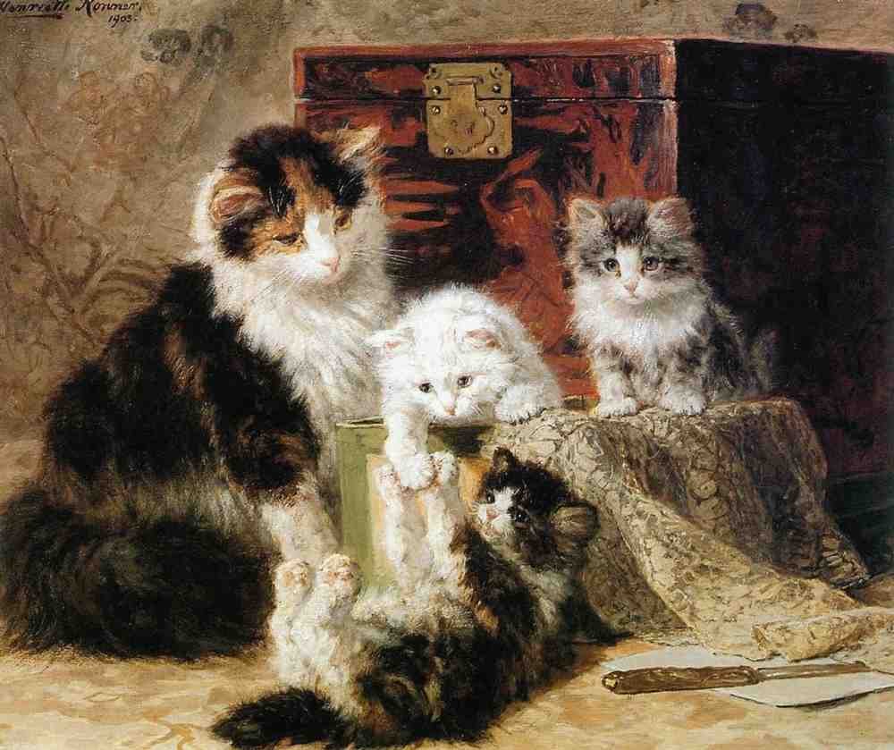 Illustrated Cat Book 1 058 Vintage Illustration A4 Photo Print