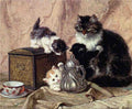 Illustrated Cat Book 1 067 Vintage Illustration A4 Photo Print