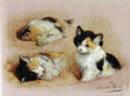 Illustrated Cat Book 1 068 Vintage Illustration A4 Photo Print