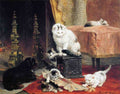 Illustrated Cat Book 1 070 Vintage Illustration A4 Photo Print