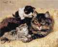 Illustrated Cat Book 1 072 Vintage Illustration A4 Photo Print