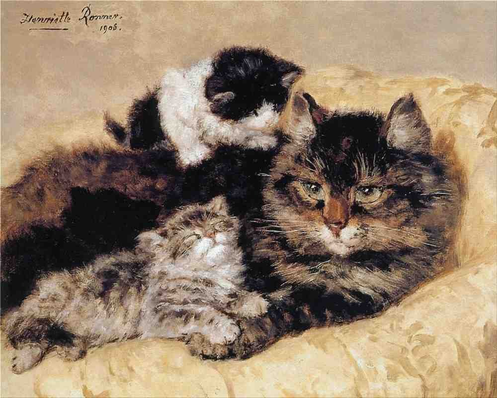 Illustrated Cat Book 1 072 Vintage Illustration A4 Photo Print