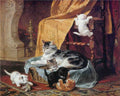Illustrated Cat Book 1 073 Vintage Illustration A4 Photo Print