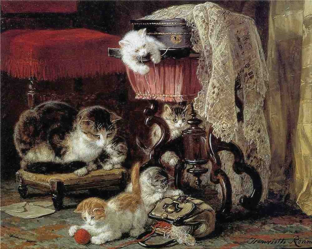 Illustrated Cat Book 1 074 Vintage Illustration A4 Photo Print