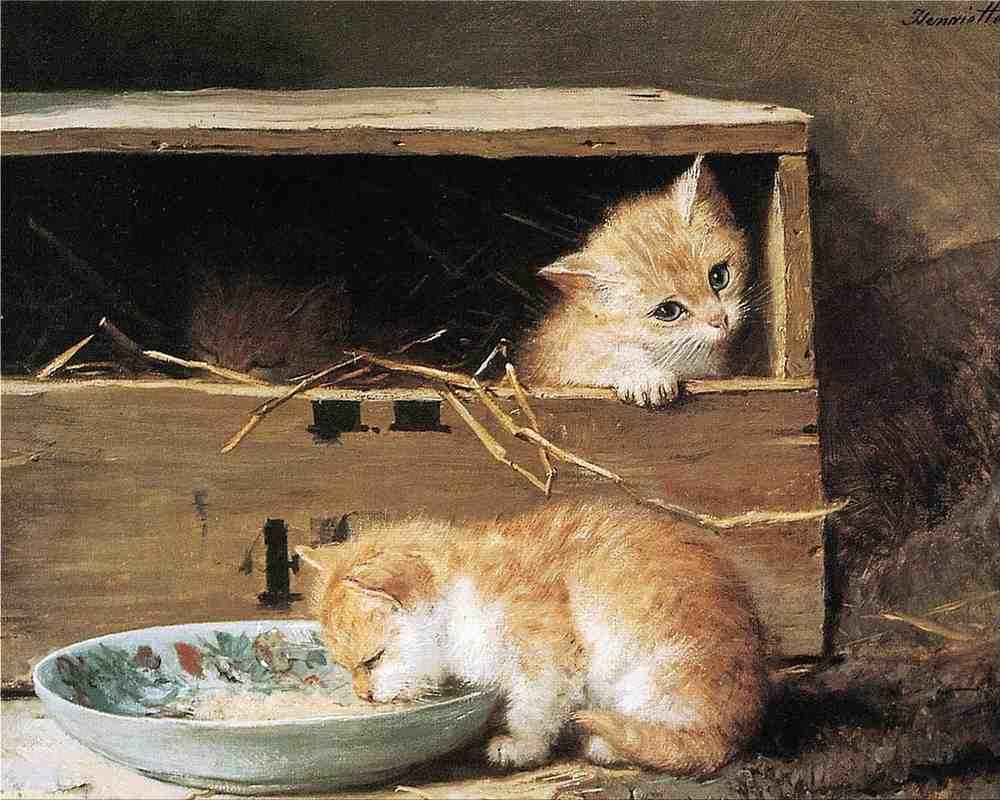 Illustrated Cat Book 1 076 Vintage Illustration A4 Photo Print