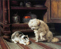 Illustrated Cat Book 1 077 Vintage Illustration A4 Photo Print