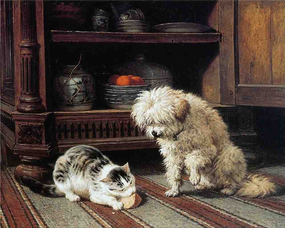 Illustrated Cat Book 1 077 Vintage Illustration A4 Photo Print