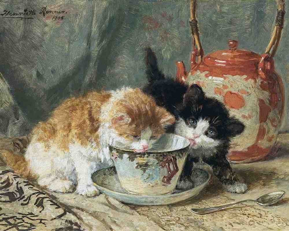 Illustrated Cat Book 1 078 Vintage Illustration A4 Photo Print