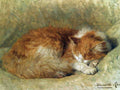 Illustrated Cat Book 1 080 Vintage Illustration A4 Photo Print