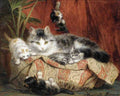 Illustrated Cat Book 1 083 Vintage Illustration A4 Photo Print