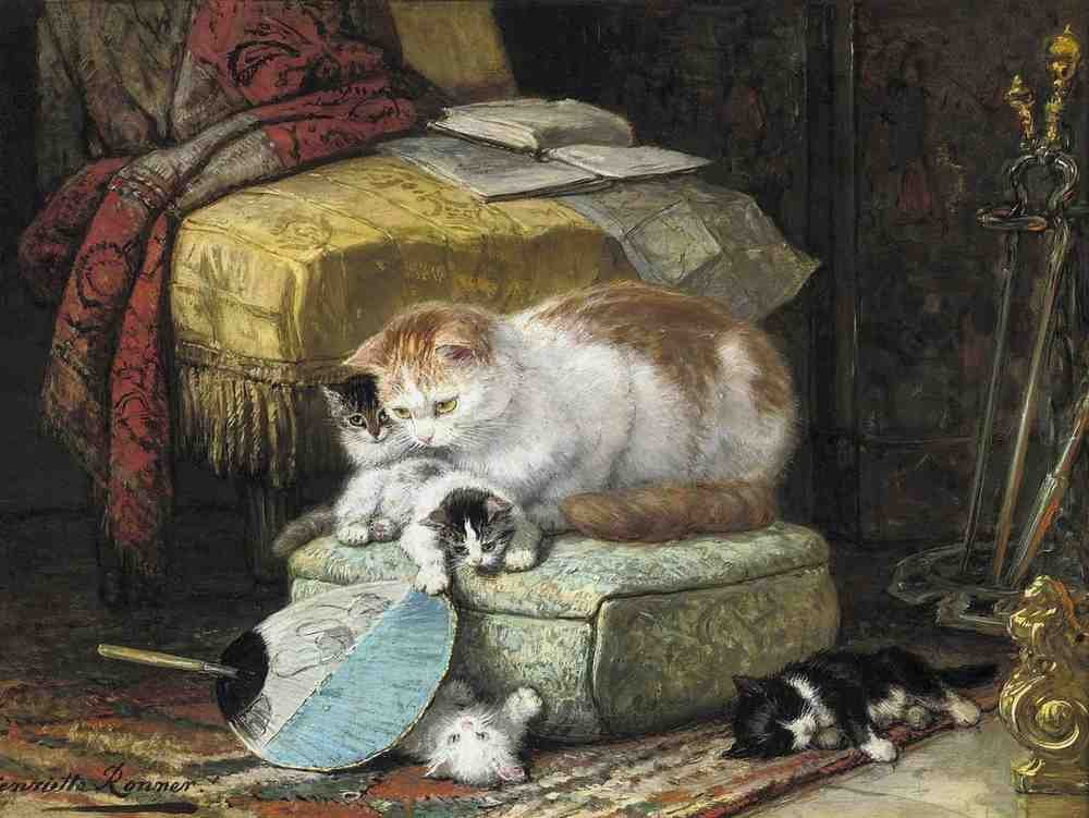Illustrated Cat Book 1 084 Vintage Illustration A4 Photo Print