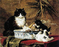 Illustrated Cat Book 1 085 Vintage Illustration A4 Photo Print