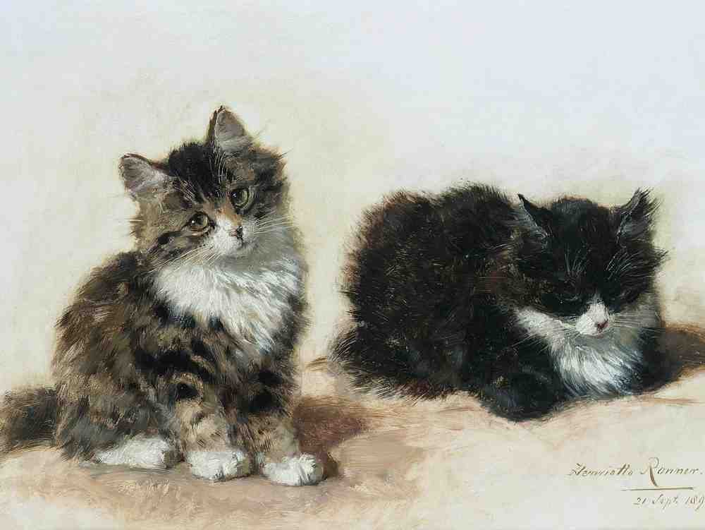 Illustrated Cat Book 1 087 Vintage Illustration A4 Photo Print