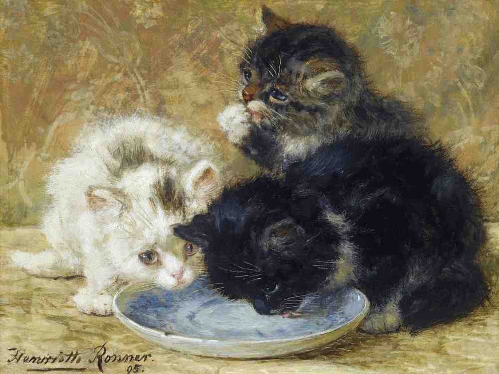 Illustrated Cat Book 1 088 Vintage Illustration A4 Photo Print