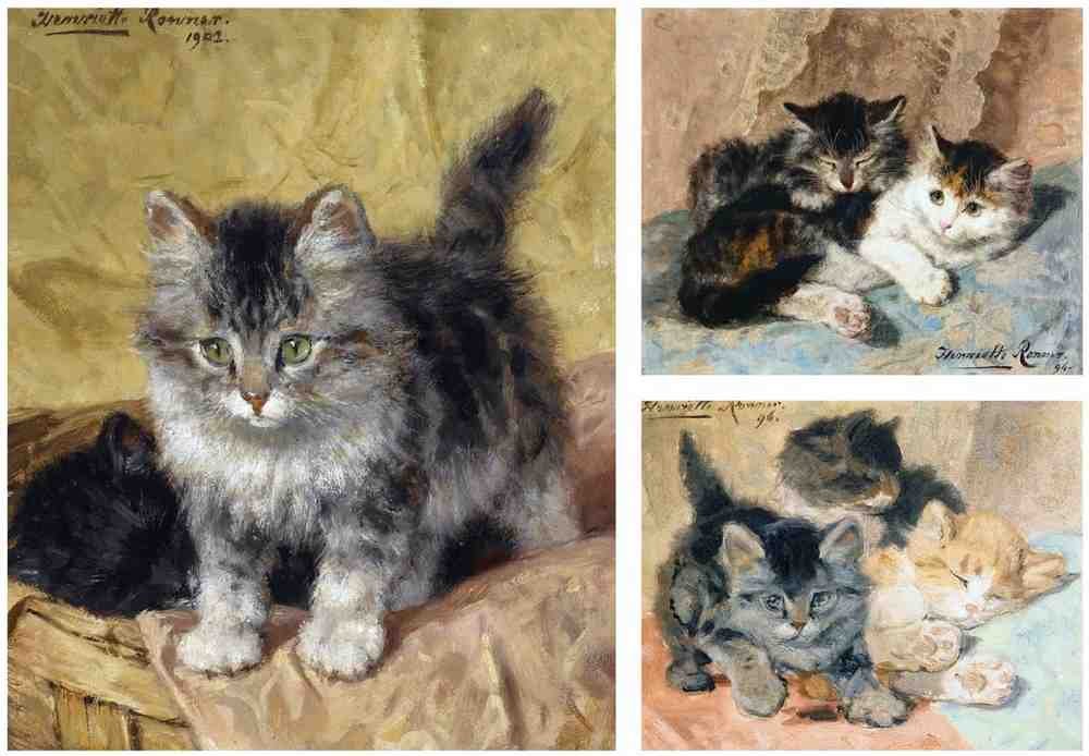 Illustrated Cat Book 1 089 Vintage Illustration A4 Photo Print
