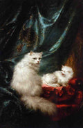 Illustrated Cat Book 1 095 Vintage Illustration A4 Photo Print