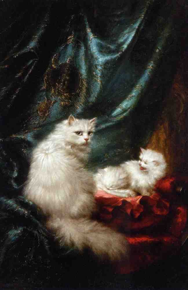 Illustrated Cat Book 1 095 Vintage Illustration A4 Photo Print
