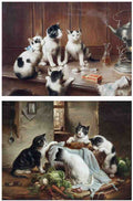 Illustrated Cat Book 1 099 Vintage Illustration A4 Photo Print