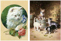 Illustrated Cat Book 1 103 Vintage Illustration A4 Photo Print