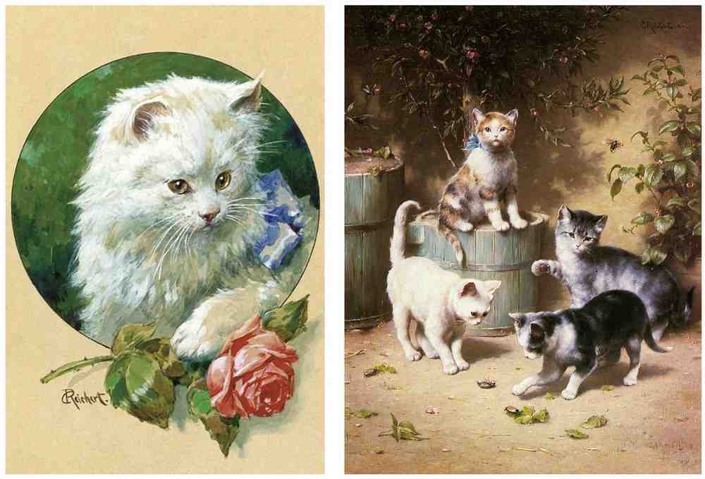 Illustrated Cat Book 1 103 Vintage Illustration A4 Photo Print