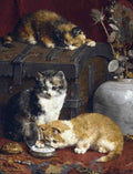 Illustrated Cat Book 1 108 Vintage Illustration A4 Photo Print